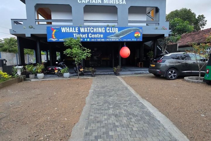 Whale Watching Mirissa with WWC - Photo 1 of 12